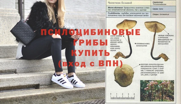 мескалин Дмитровск