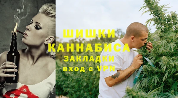СК Дмитров