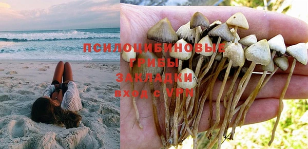 мескалин Дмитровск