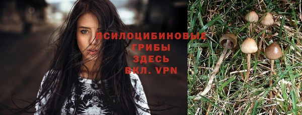 jwh Дмитриев