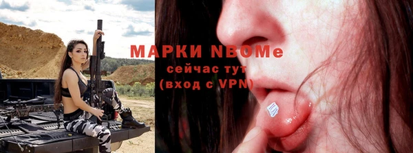 СК Дмитров
