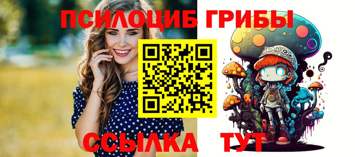 Кимовск  Псилоцибиновые грибы Cubensis  Вход с VPN 