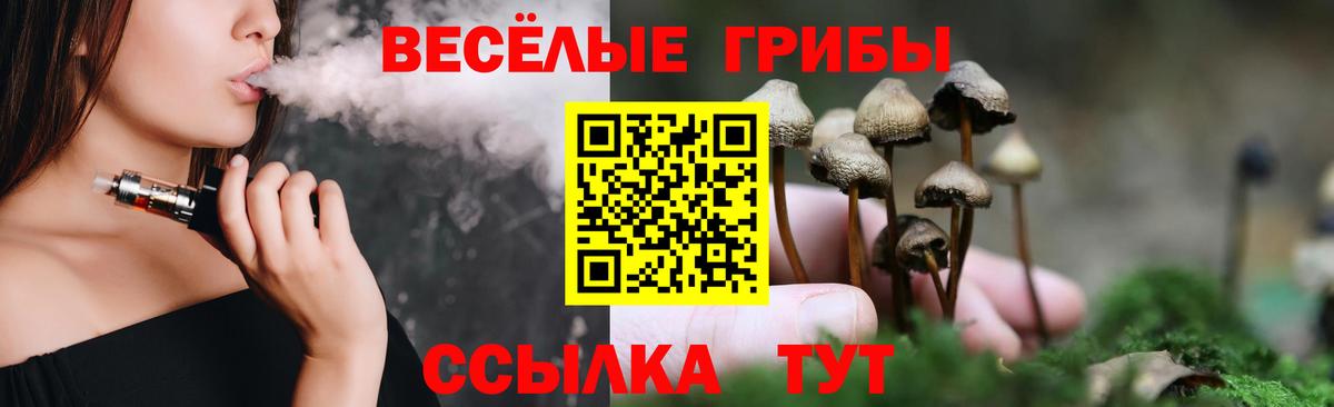 Галлюциногенные грибы прущие грибы Кимовск